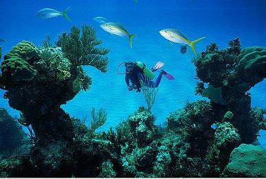 改头换面 《潜行者》True Stalker大修MOD发布